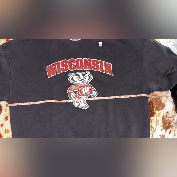 NWT Hollister Boxy University of Wisconsin Graphic Crew Sweatshirt Size XL - Picture 10 of 10